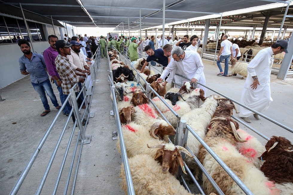 حبس وغرامة لكل من يذبح الأضحية خارج المسالخ